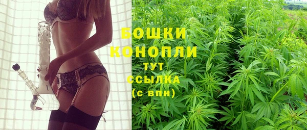 дживик Баксан