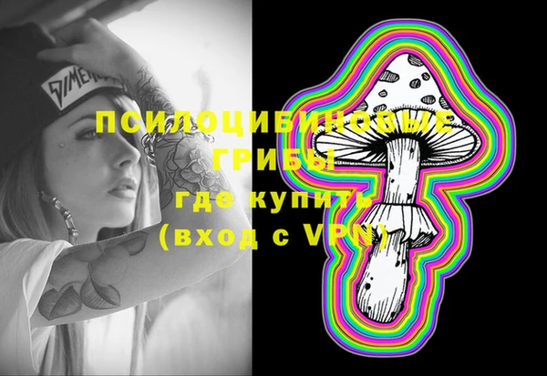 дживик Баксан