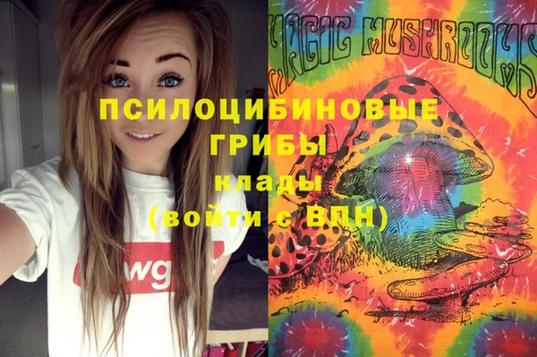 гашик Балабаново