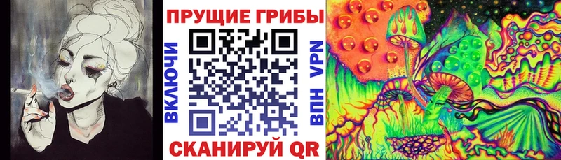 hydra ТОР  Соль-Илецк  Галлюциногенные грибы прущие грибы 